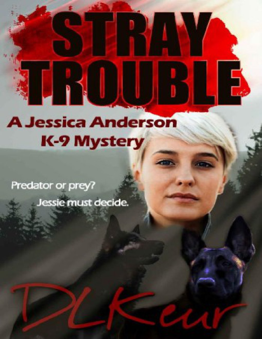 Cover of Stray Trouble (2020)