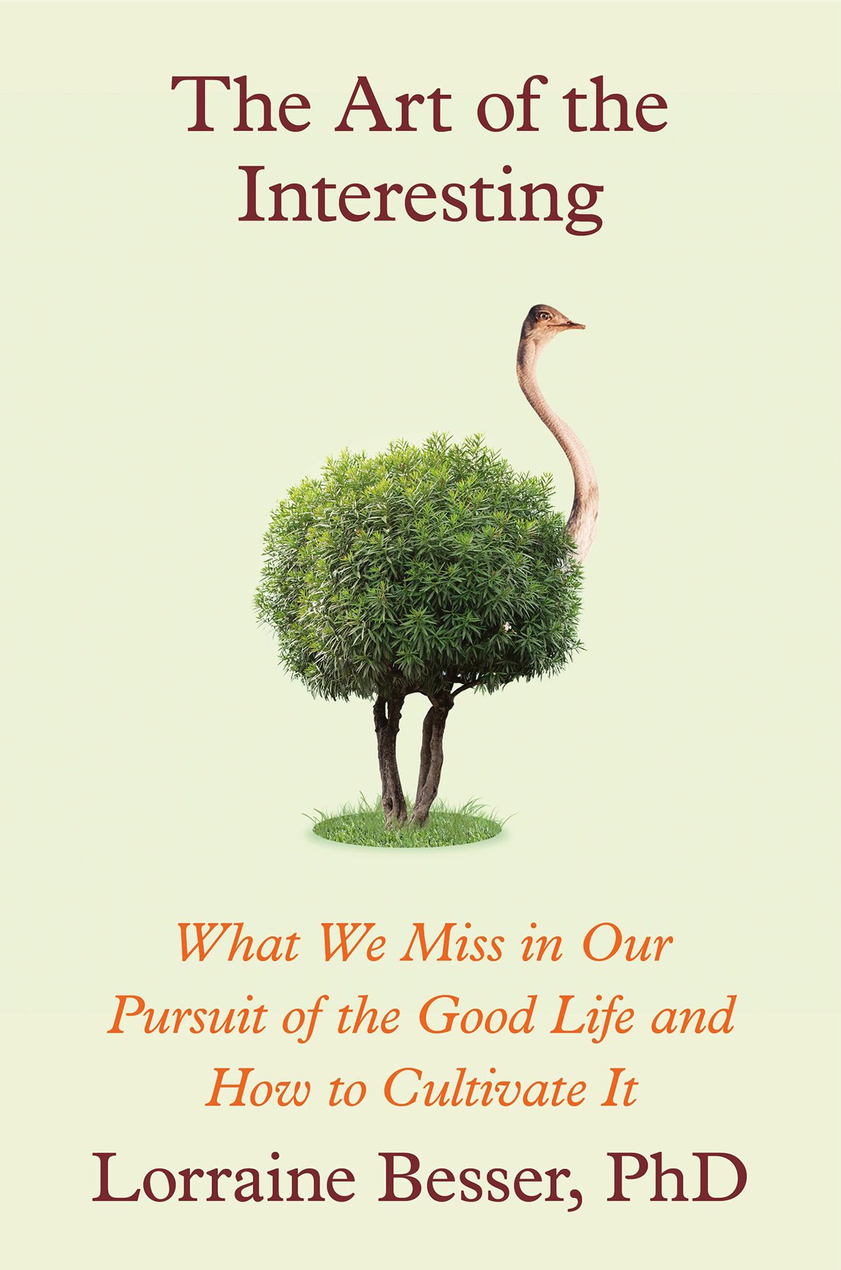 Cover of The Art of the Interesting