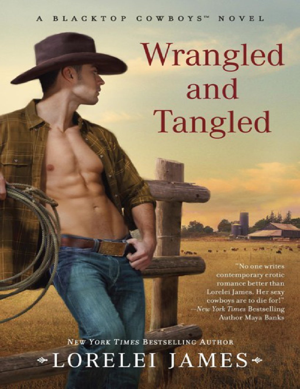 Cover of Wrangled and Tangled