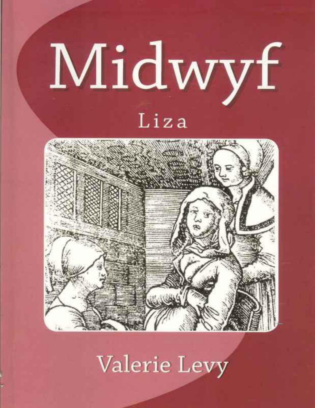 Cover of Midwyf Liza