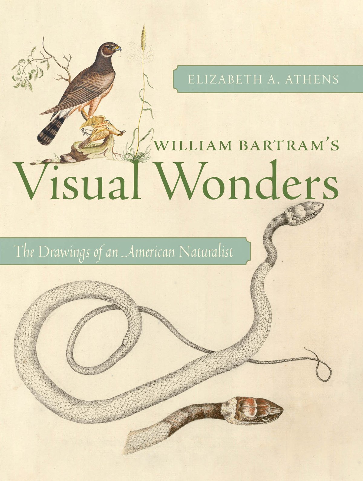 Cover of William Bartram’s Visual Wonders (1640)
