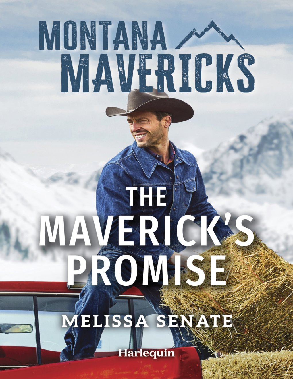 Cover of The Maverick's Promise