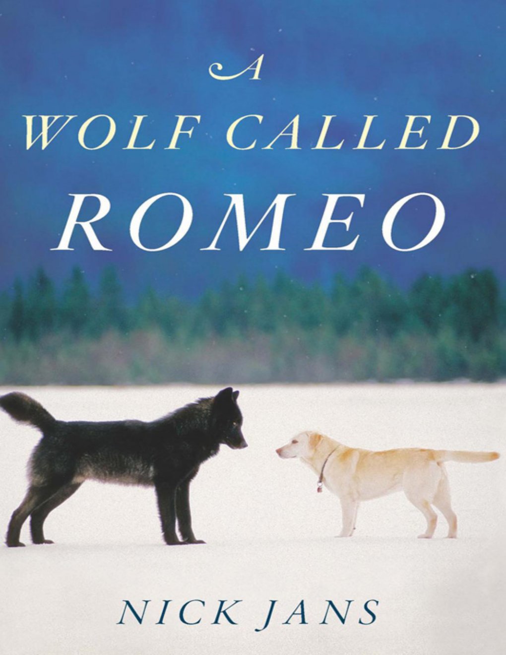 Cover of A Wolf Called Romeo