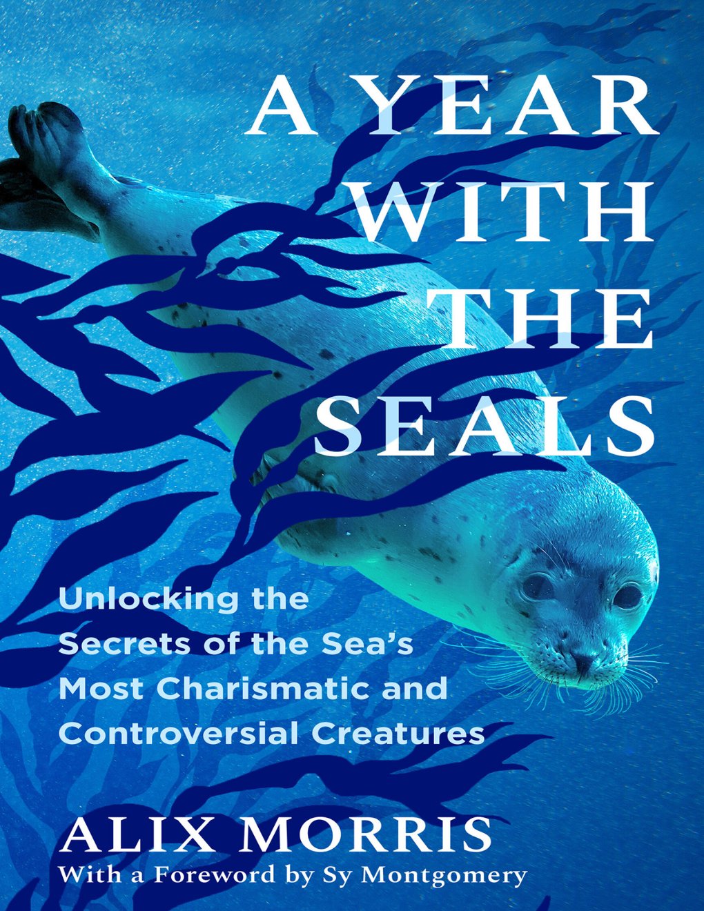 Cover of A Year with the Seals (1917)