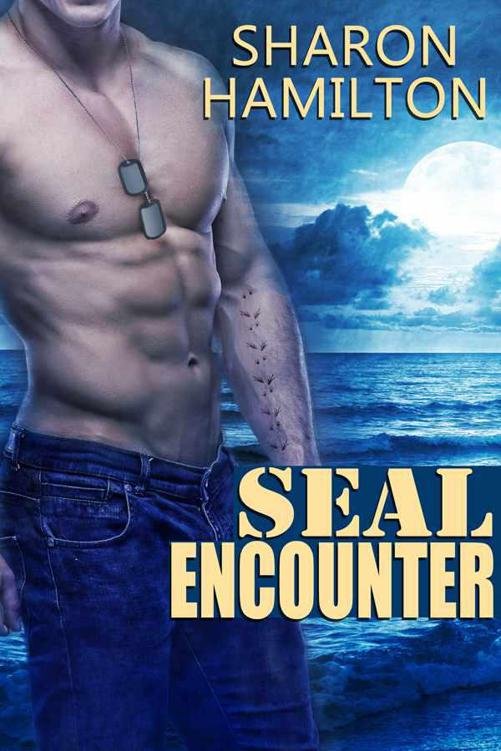 Cover of SEAL Encounter (2012)