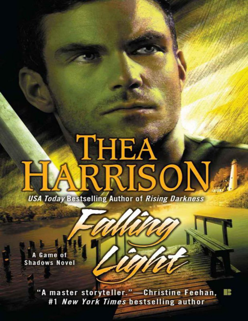 Cover of Falling Light
