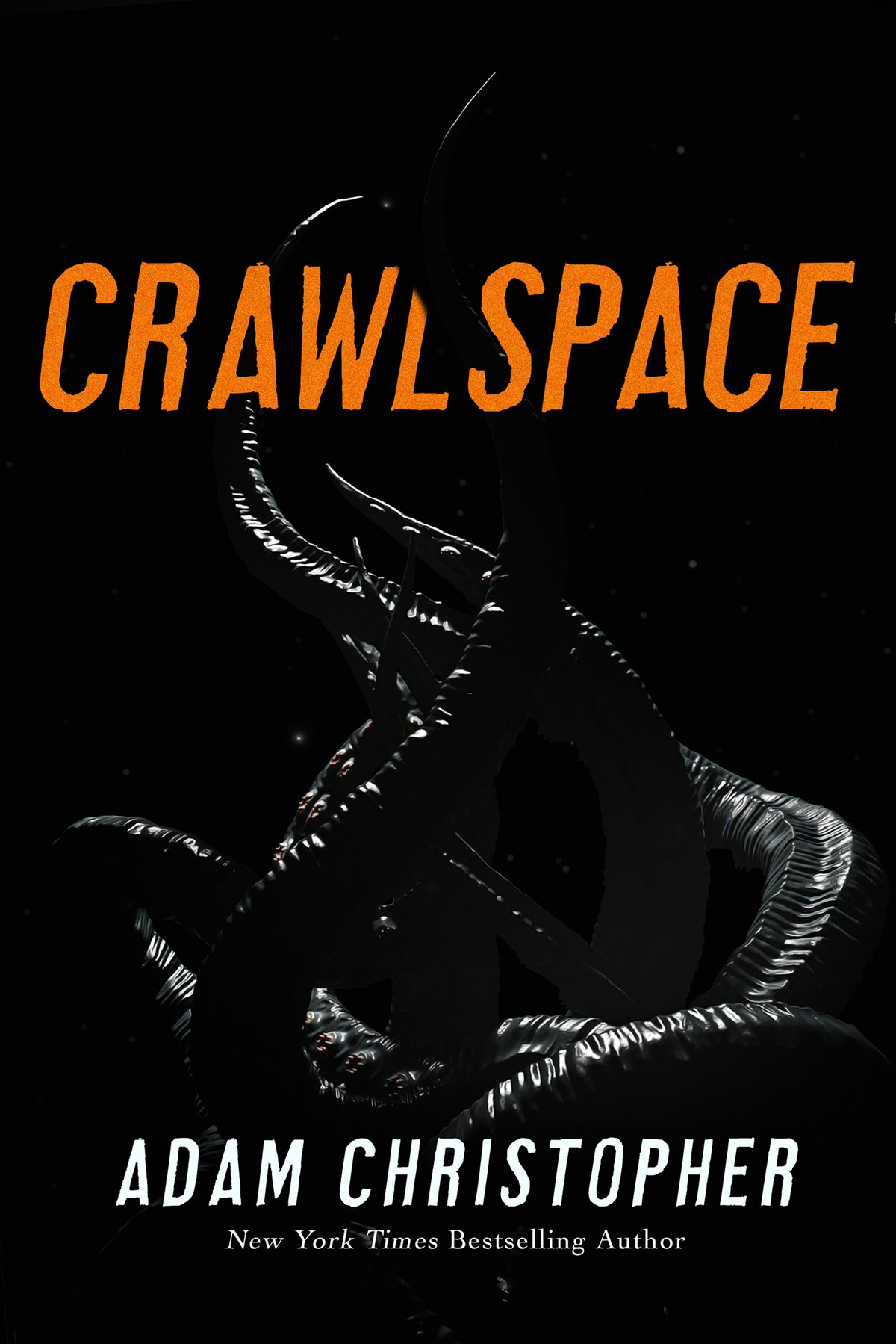 Cover of Crawlspace