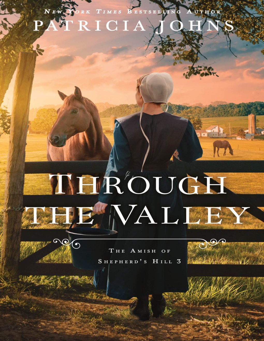 Cover of Through the Valley