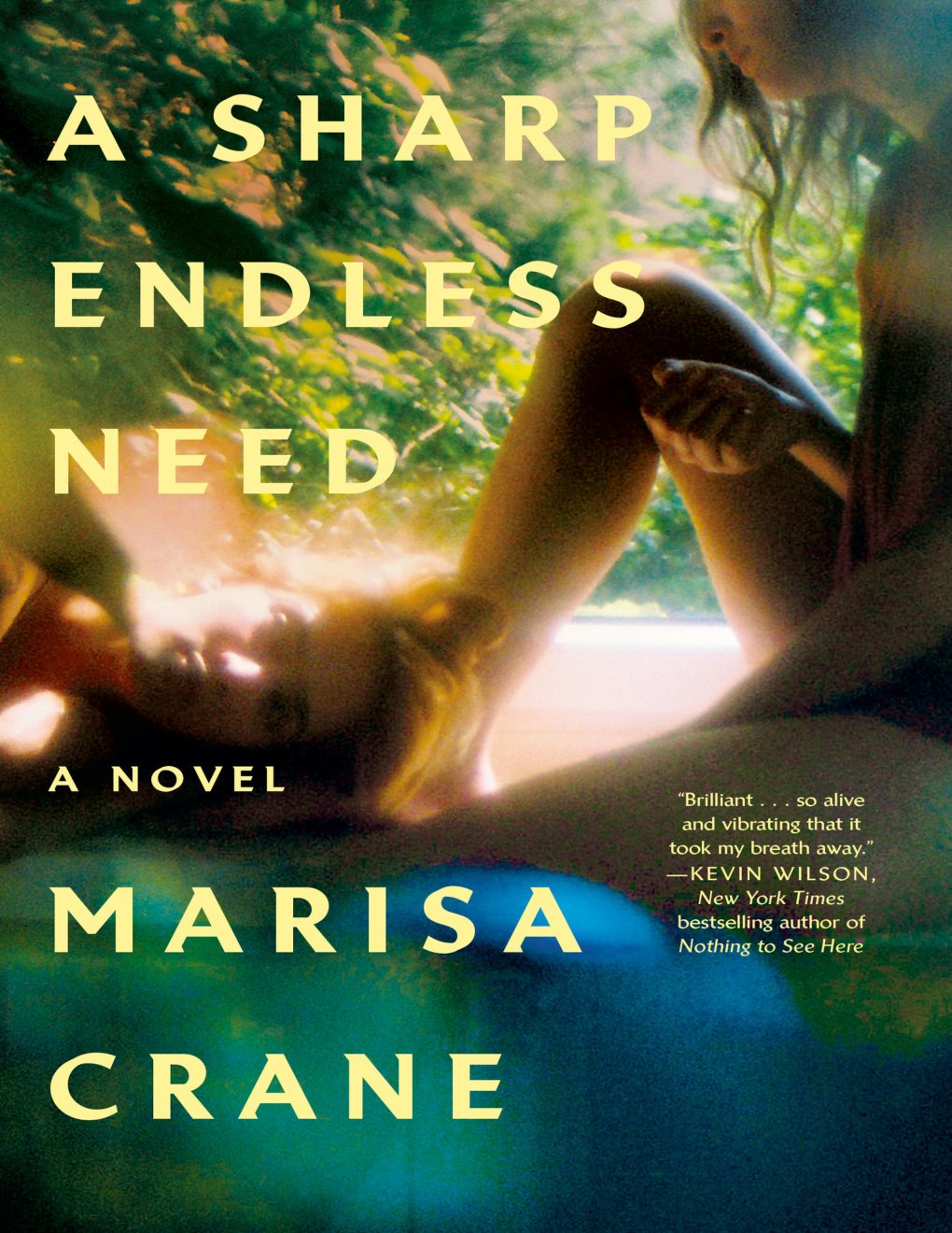 Cover of A Sharp Endless Need: A Novel