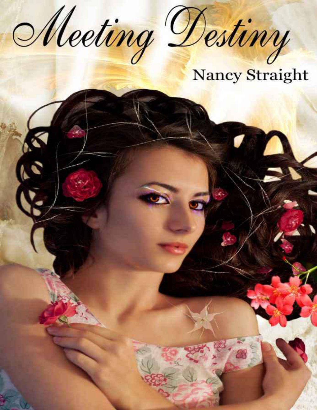 Cover of Meeting Destiny