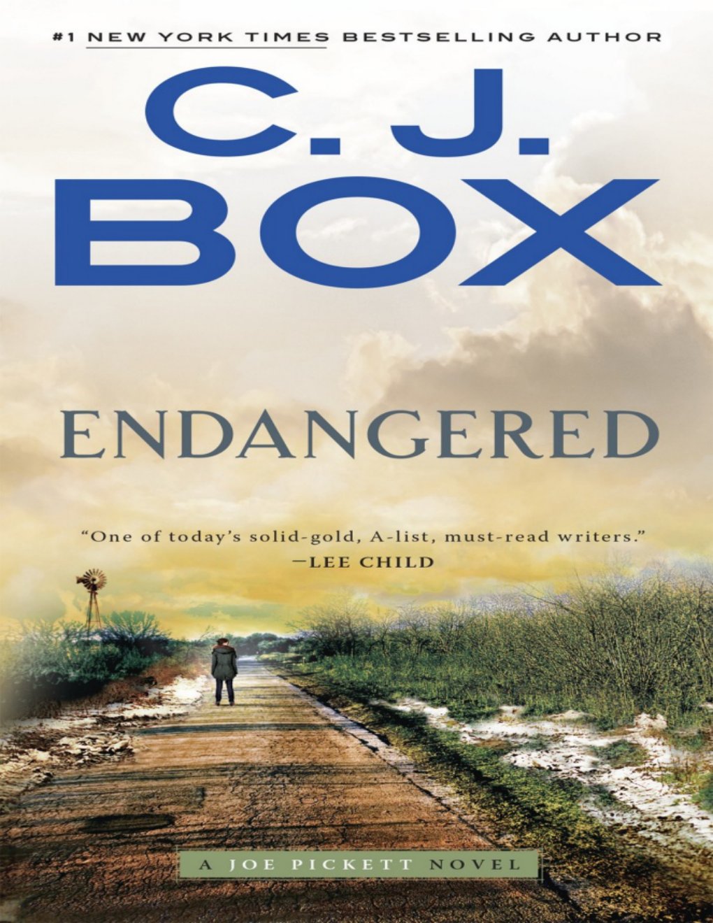 Cover of Endangered