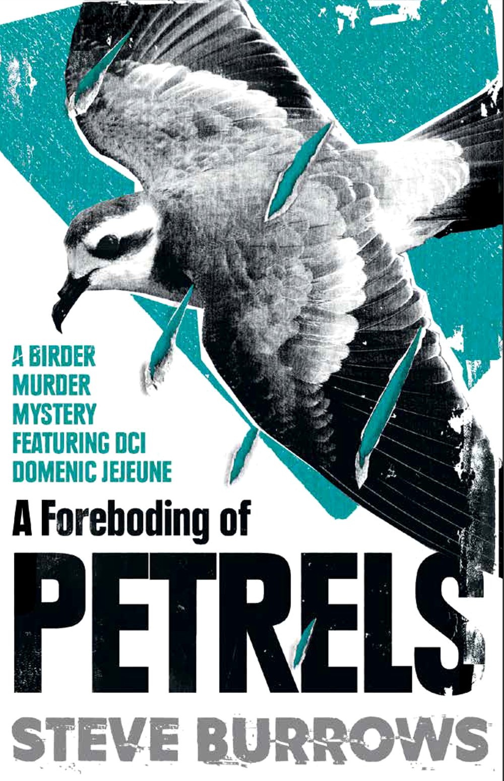 Cover of A Foreboding of Petrels