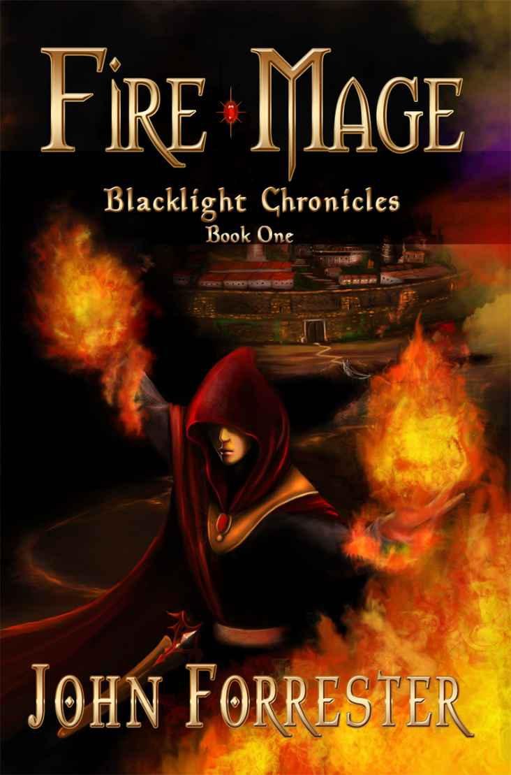 Cover of Fire Mage (2011)