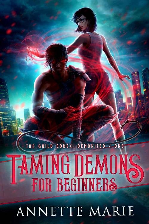 Cover of Taming Demons for Beginners (2019)