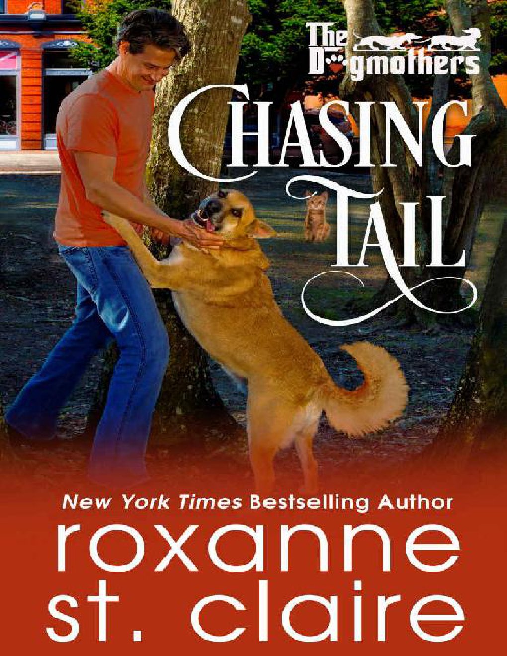 Cover of Chasing Tail (The Dogmothers Book 4)
