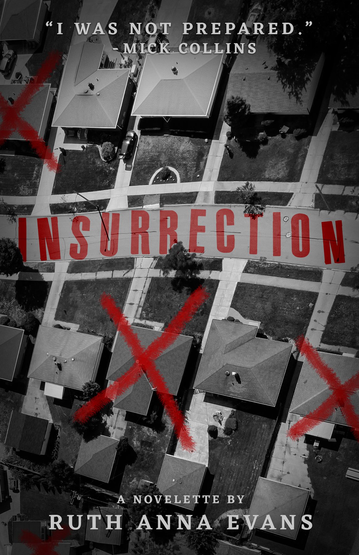Cover of Insurrection- A Novelette (2020)