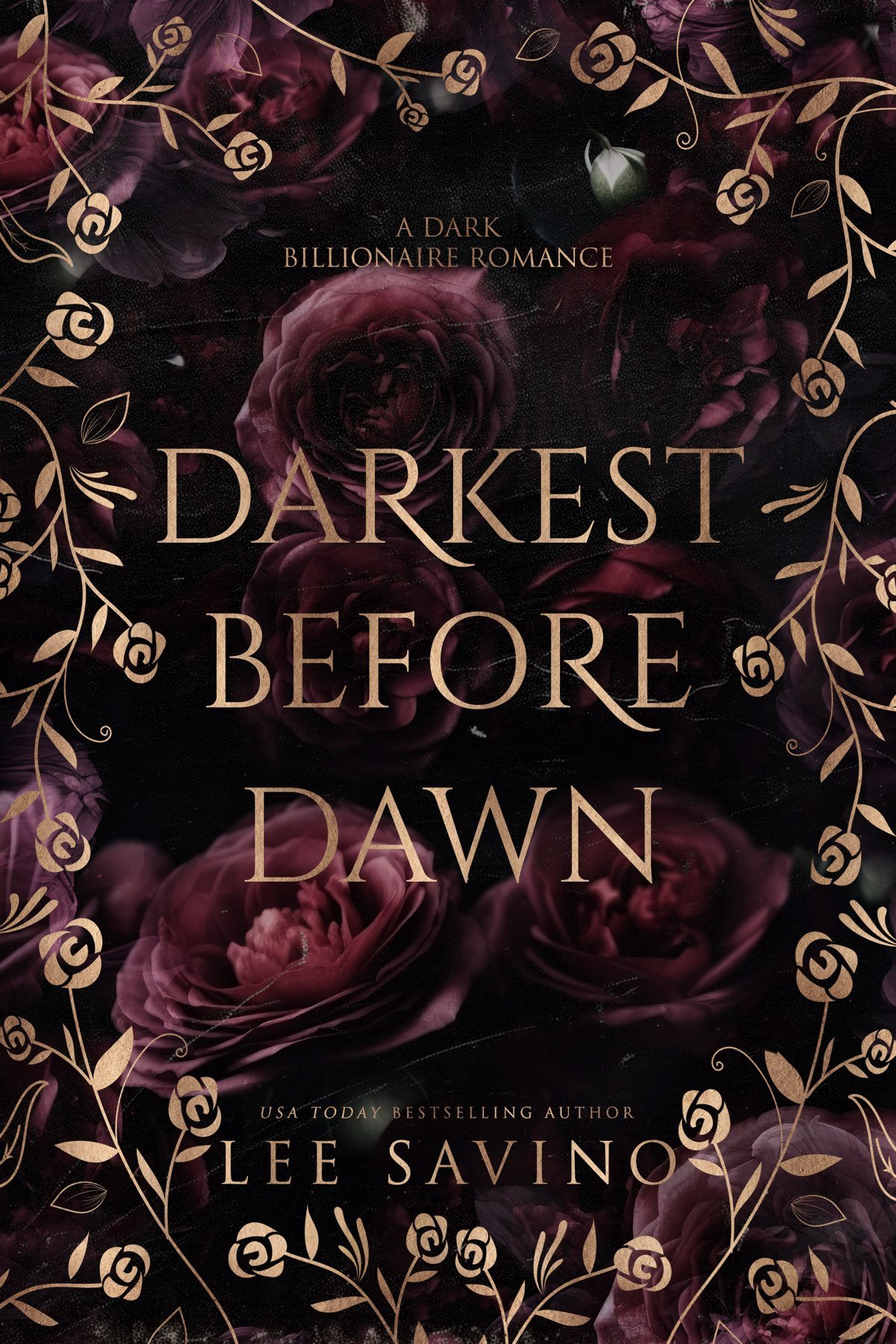 Cover of Darkest Before Dawn