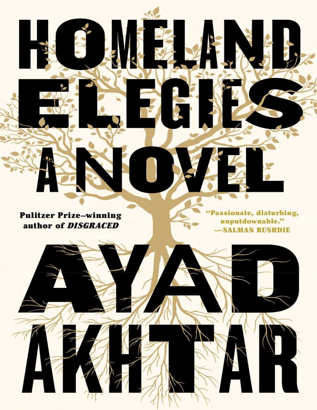 Cover of Homeland Elegies