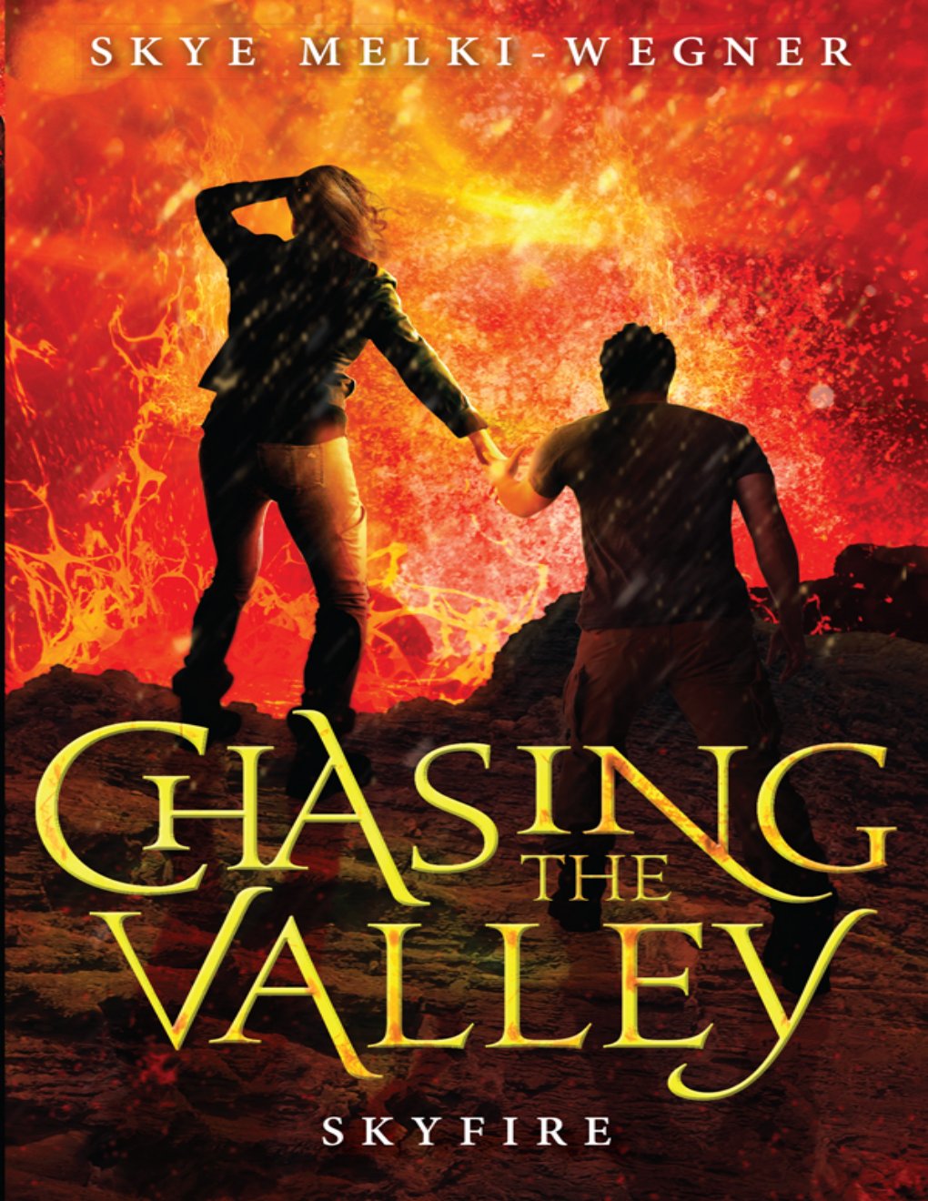 Cover of Skyfire