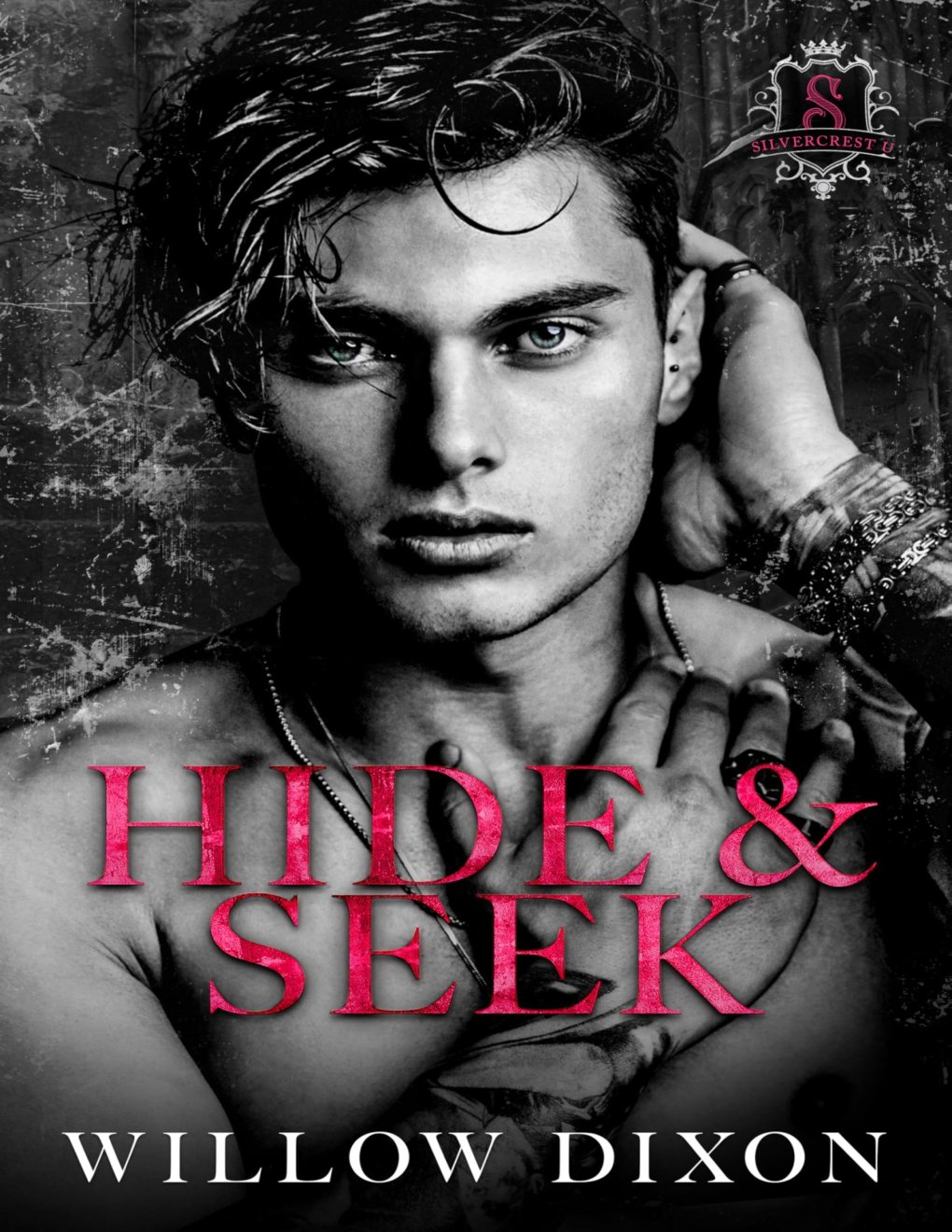Cover of Hide and Seek