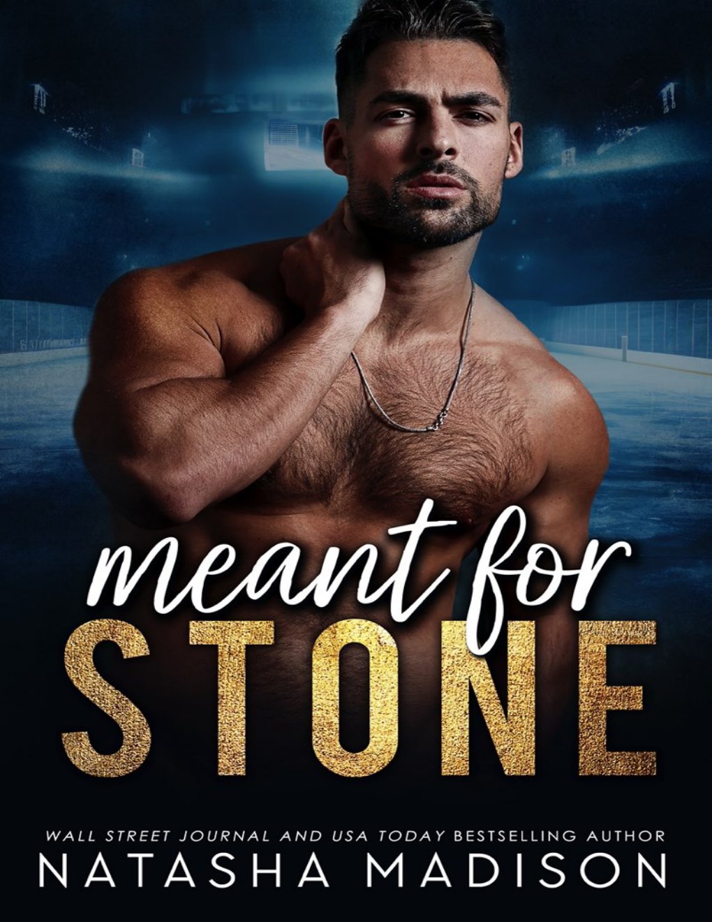 Cover of Meant For Stone