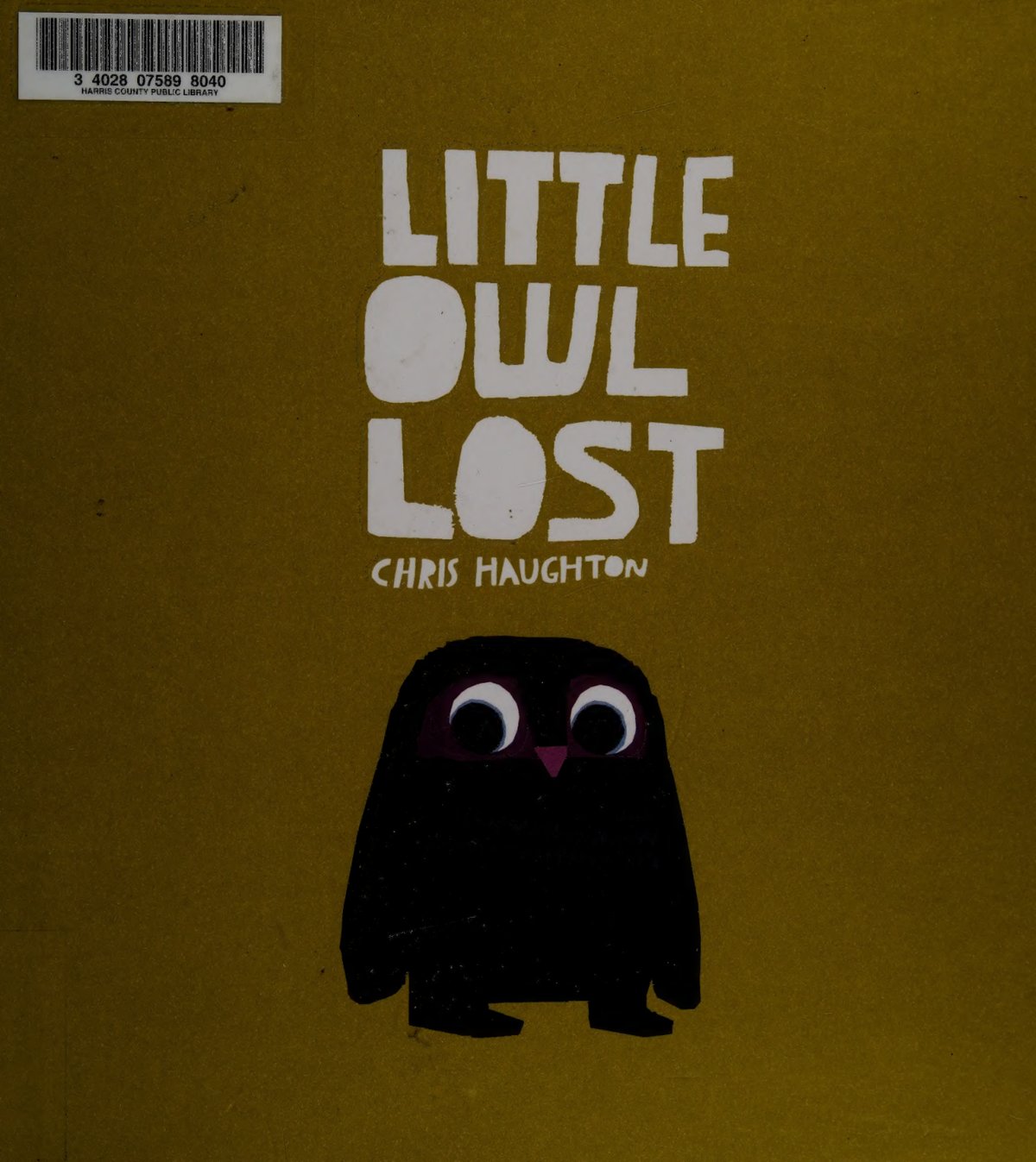 Cover of Little owl lost