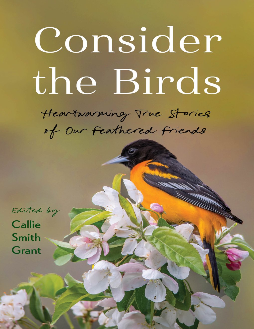 Cover of Consider the Birds