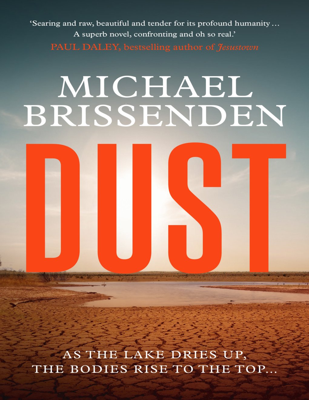 Cover of Dust