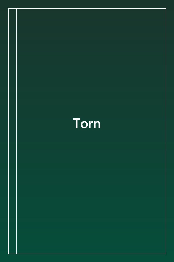 Cover of Torn