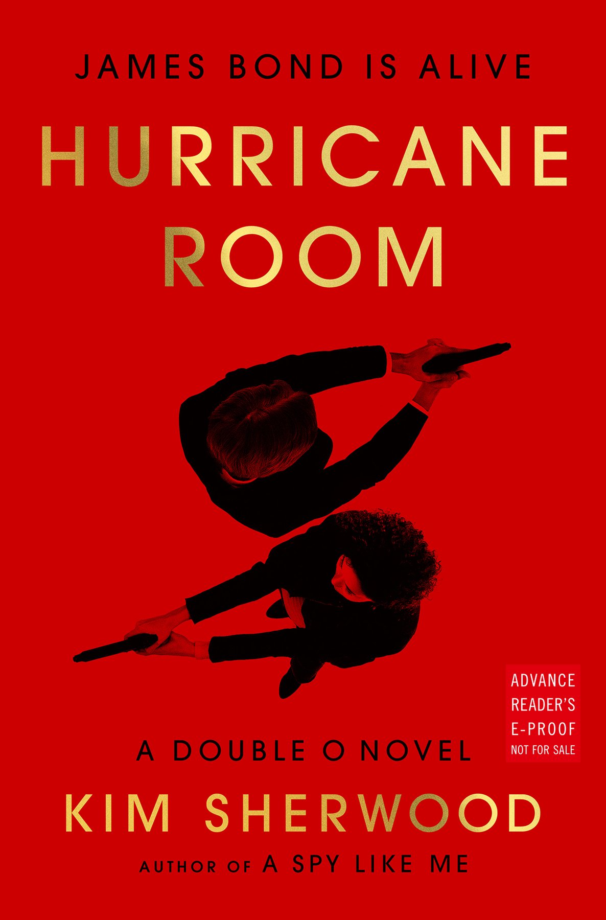 Cover of Hurricane Room