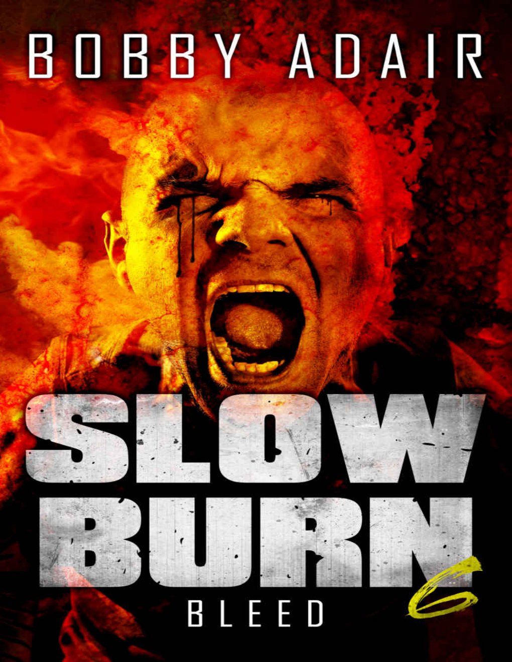 Cover of Slow Burn: Bleed, Book 6