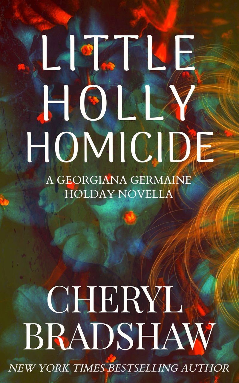 Cover of Little Holly Homicide