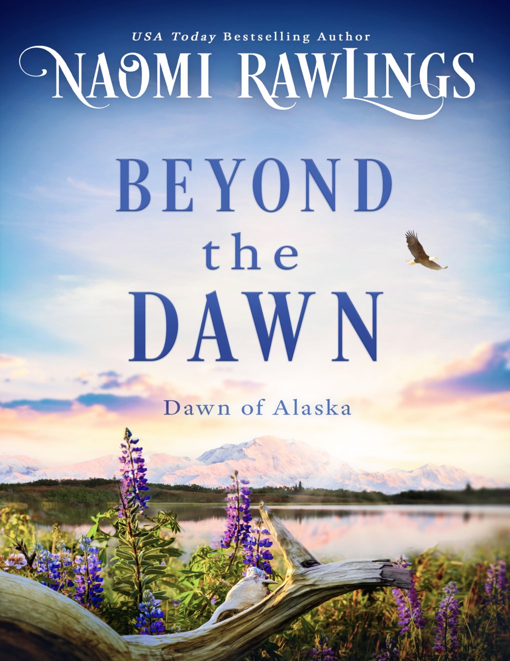 Cover of Beyond the Dawn