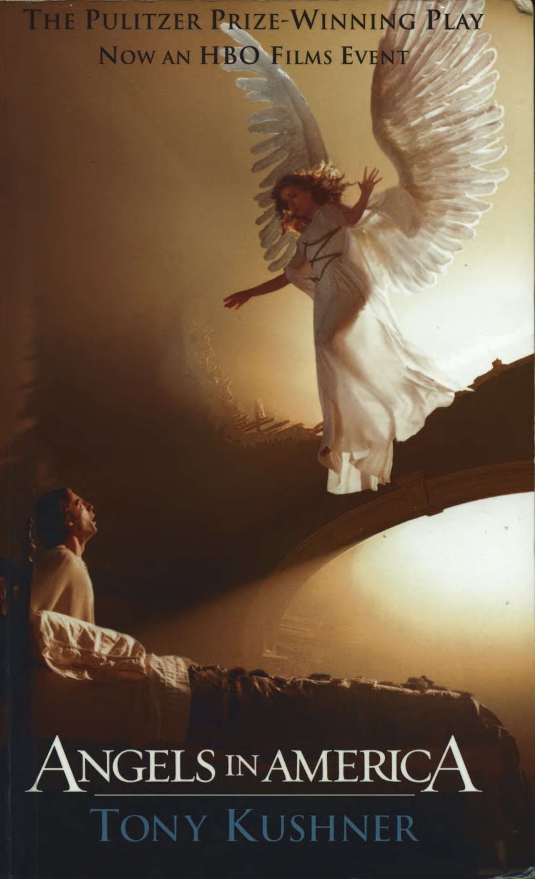 Cover of Praise for Millennium Approaches (1991)