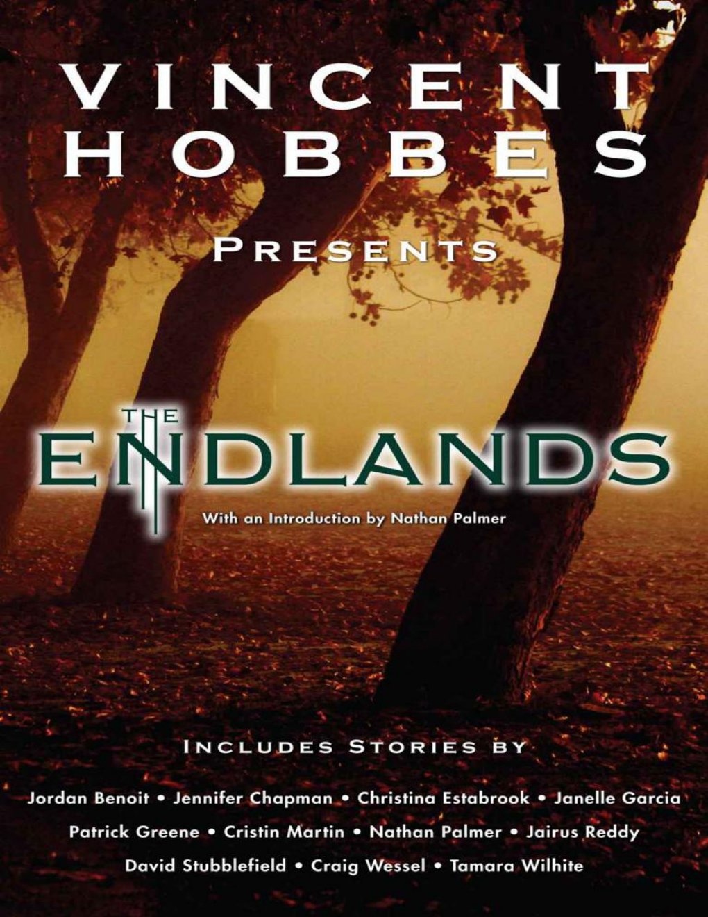 Cover of The Endlands