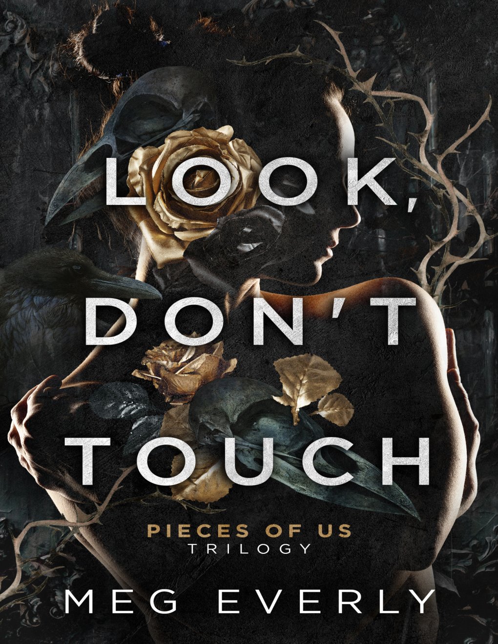 Cover of Look, Don't Touch: A Dark Billionaire Romance