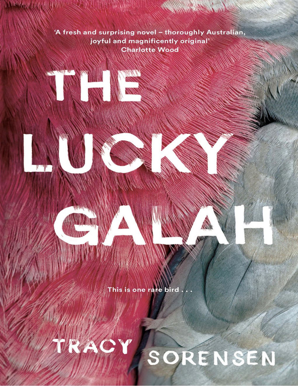 Cover of The Lucky Galah