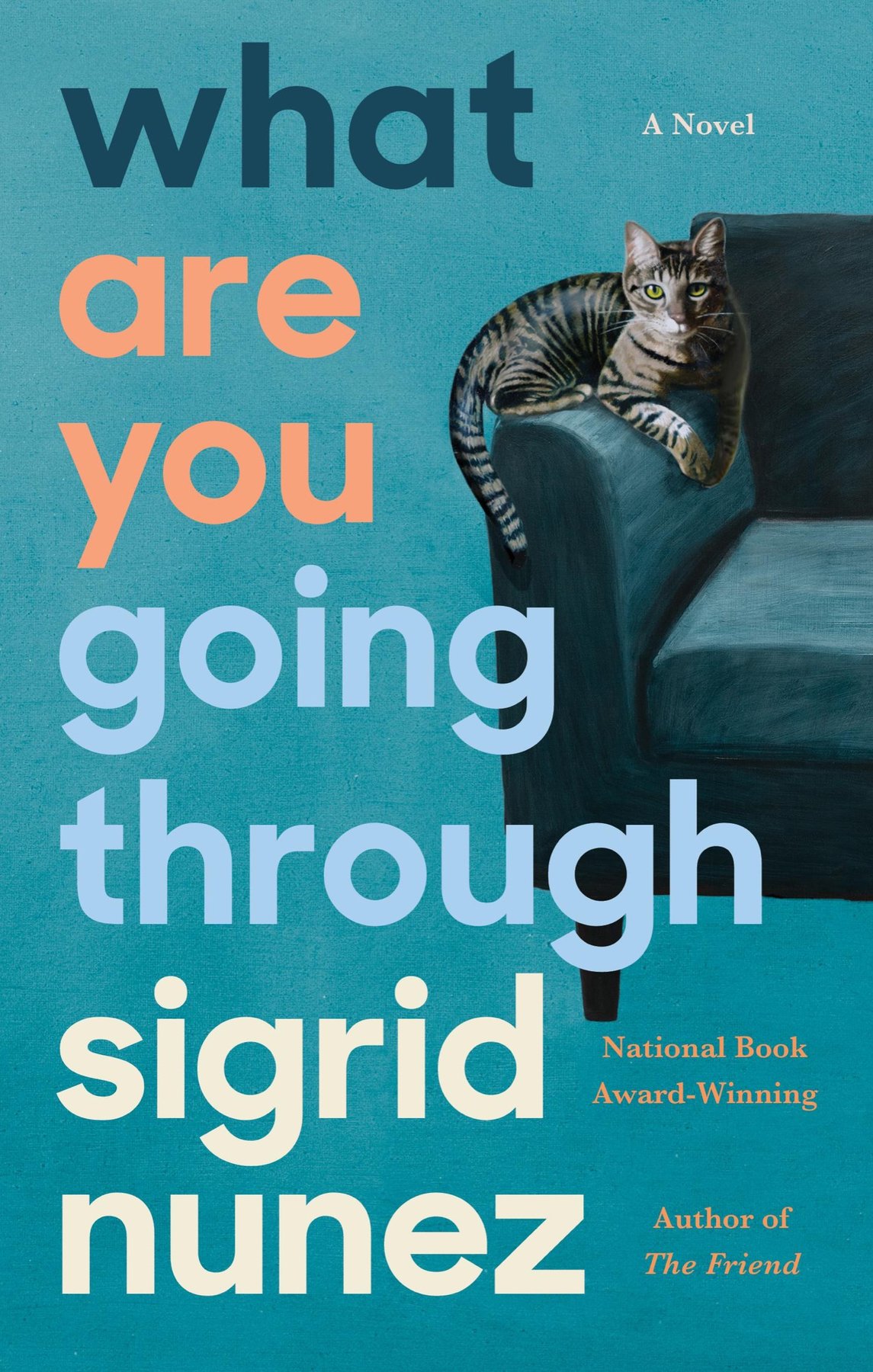 Cover of What Are You Going Through (2020)