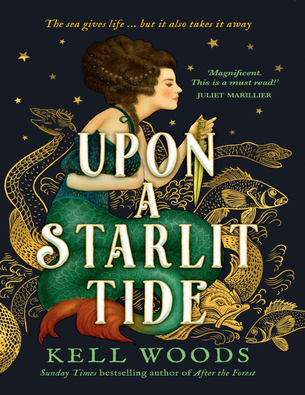 Cover of Upon a Starlit Tide