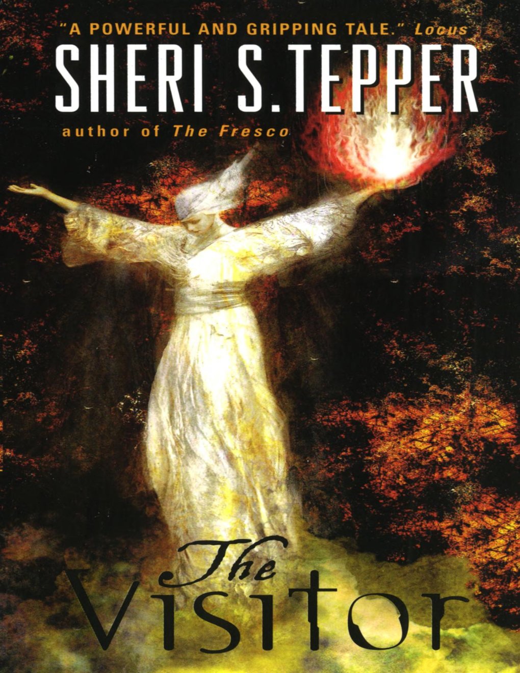 Cover of The Visitor