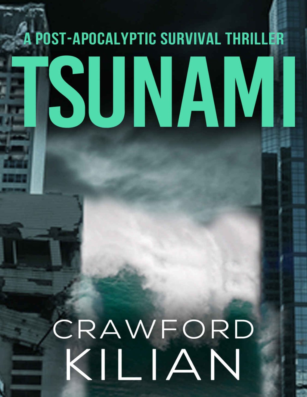 Cover of Tsunami: A Post-Apocalyptic Survival Thriller