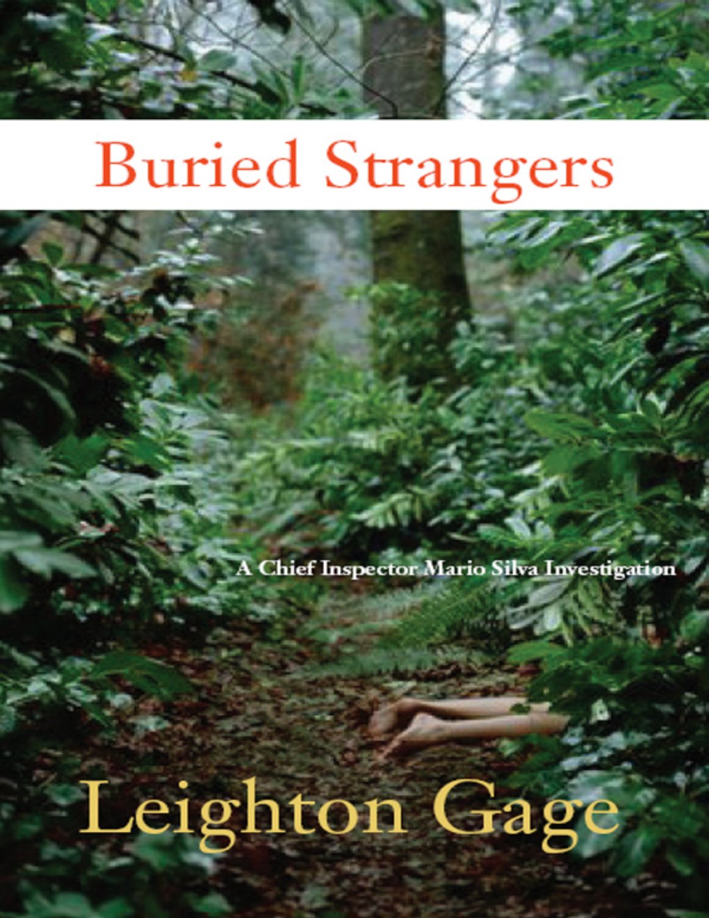 Cover of Buried Strangers (1500)