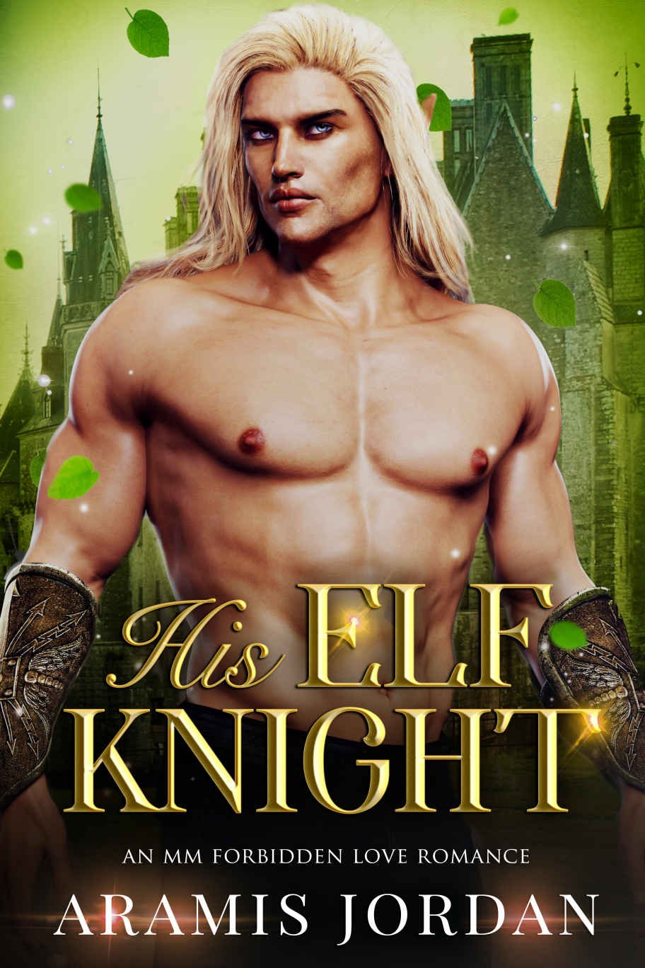 Cover of His Elf Knight- An MM Forbidden Love Romance (2023)
