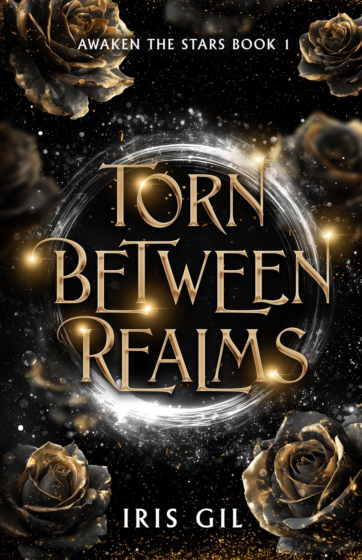 Cover of Torn Between Realms