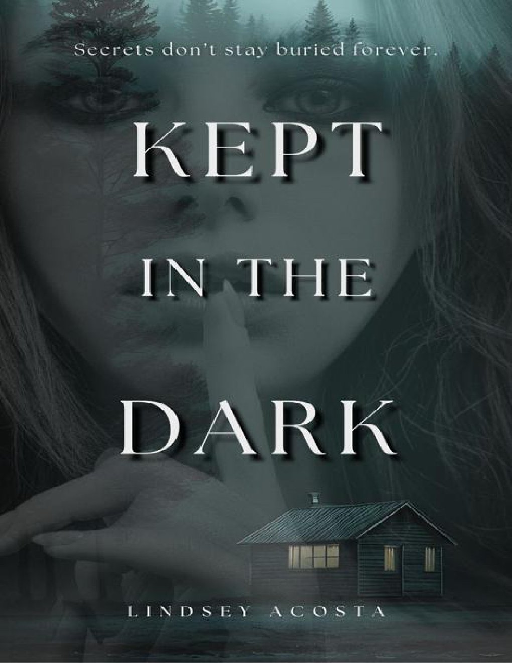 Cover of Kept in the Dark (2024)