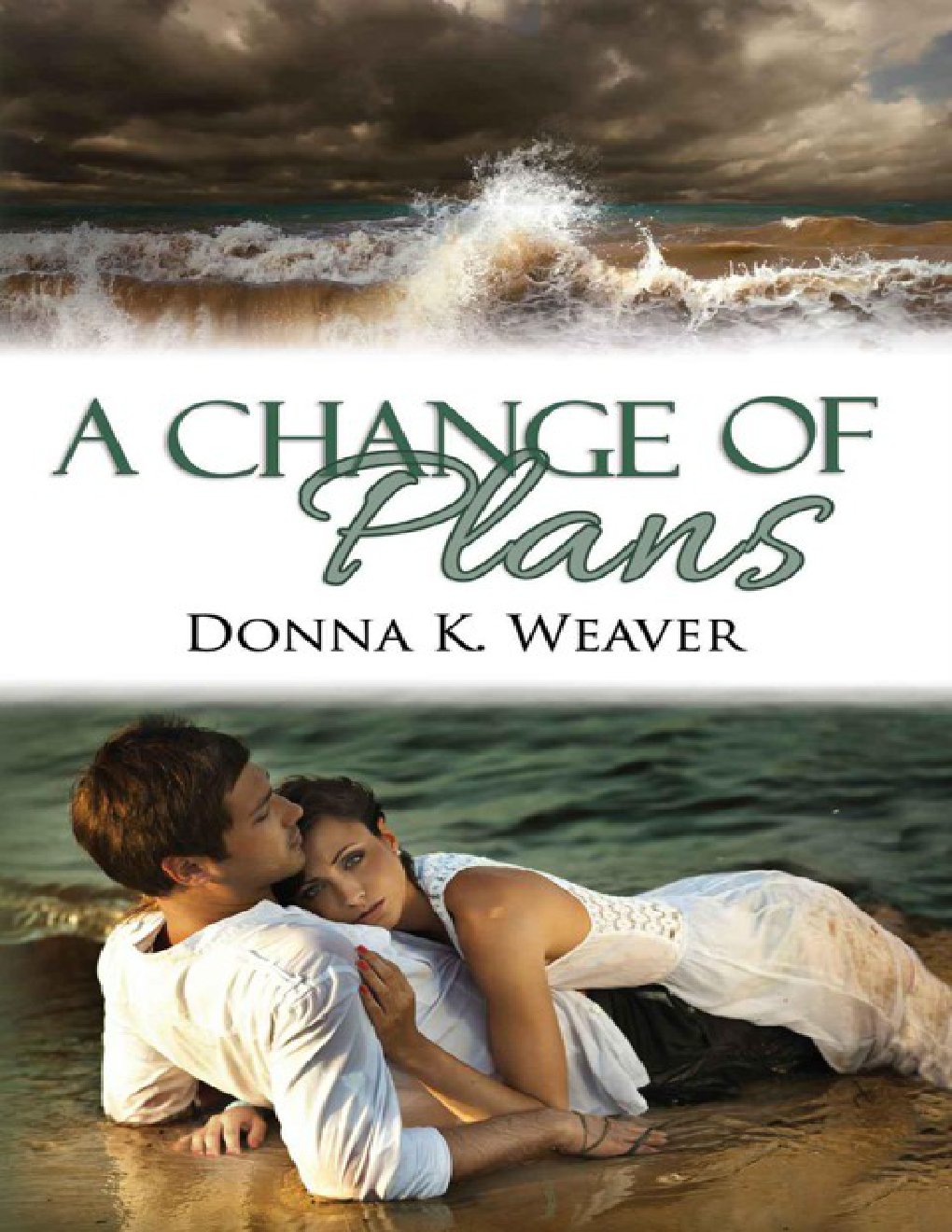 Cover of A Change of Plans