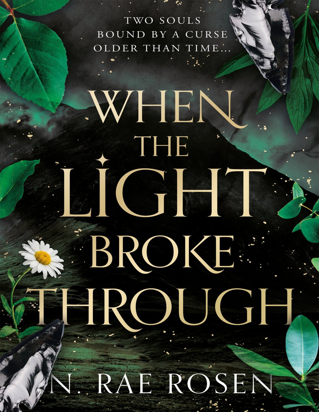 Cover of When the Light Broke Through