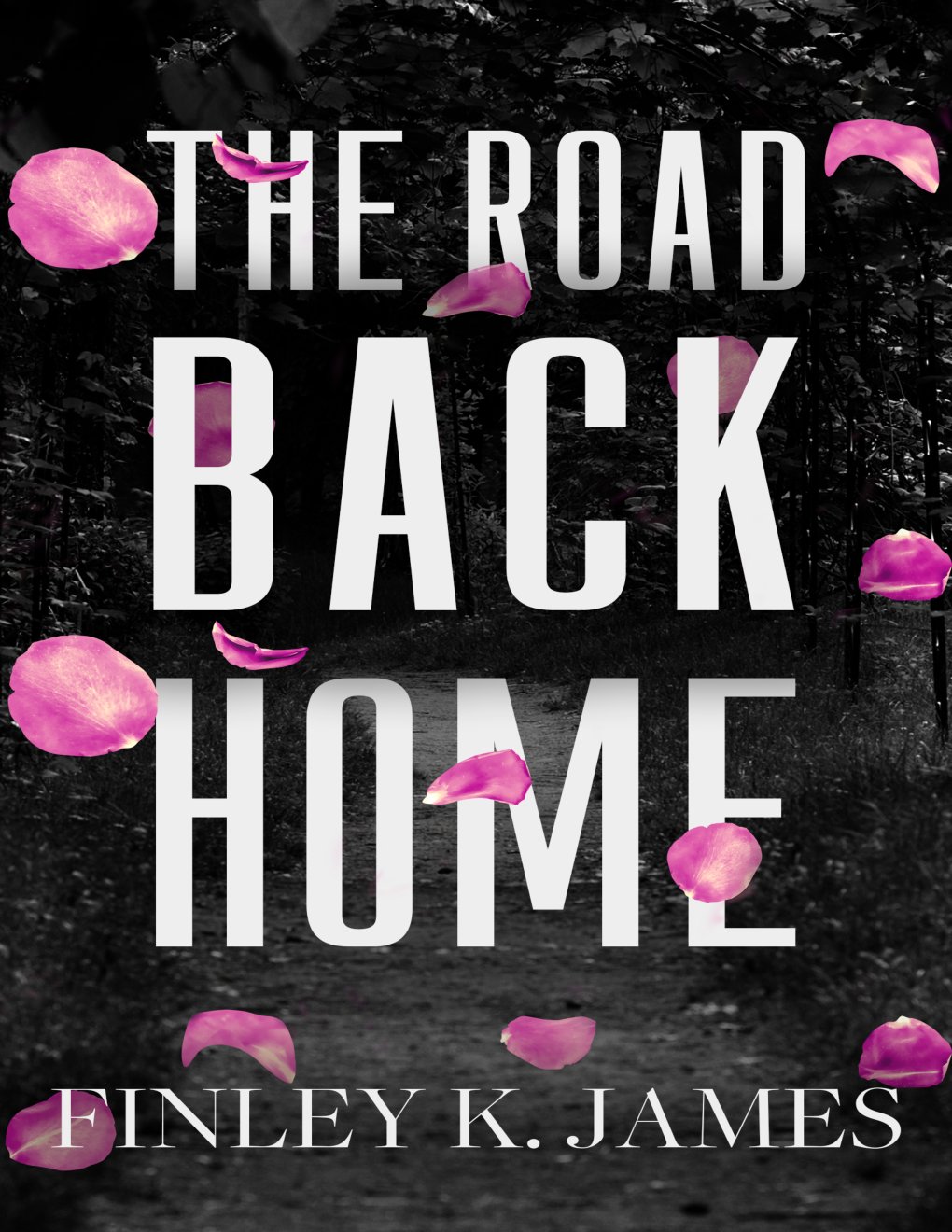 Cover of The Road Back Home