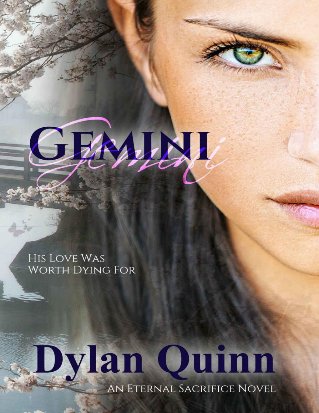 Cover of Gemini