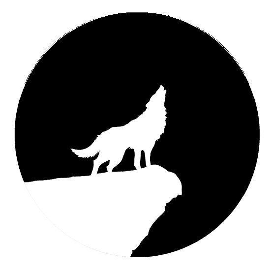 Cover of The Blood Moon Matron